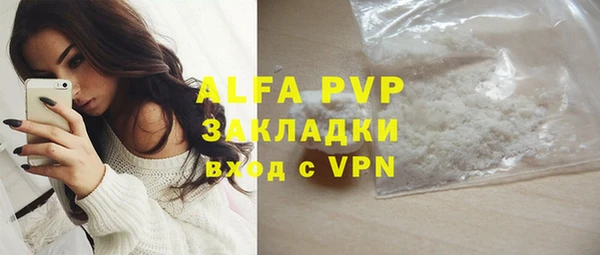 шишки Богородицк