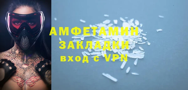 шишки Богородицк