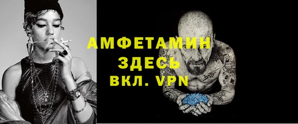 шишки Богородицк