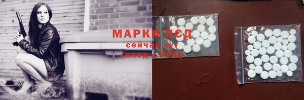 шишки Богородицк
