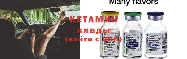 шишки Богородицк