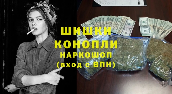 шишки Богородицк