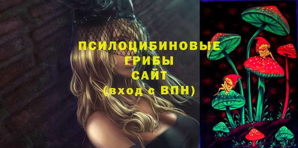 шишки Богородицк