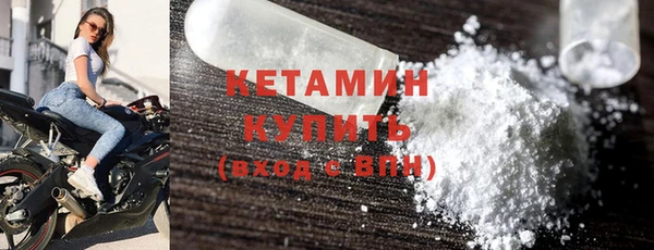 шишки Богородицк